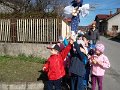 fotky kveten 116